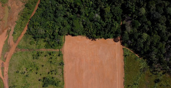 image de l'oeuvre Interior da terra de Bianca Dacosta