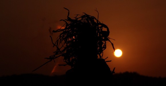 image de l'oeuvre Tomo de Bakary Diallo