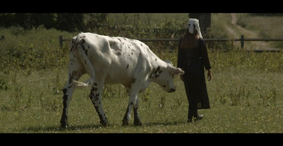 image de l'oeuvre Le souffle du taureau de Inès Sieulle